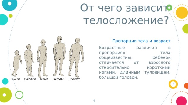 От чего зависит телосложение? Пропорции тела и возраст Возрастные различия в пропорциях тела общеизвестны: ребёнок отличается от взрослого относительно короткими ногами, длинным туловищем, большой головой.   