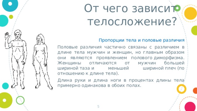 От чего зависит телосложение? Пропорции тела и половые различия Половые различия частично связаны с различием в длине тела мужчин и женщин, но главным образом они являются проявлением полового диморфизма. Женщины отличаются от мужчин большей шириной таза и меньшей шириной плеч (по отношению к длине тела). Длина руки и длина ноги в процентах длины тела примерно одинакова в обоих полах.  