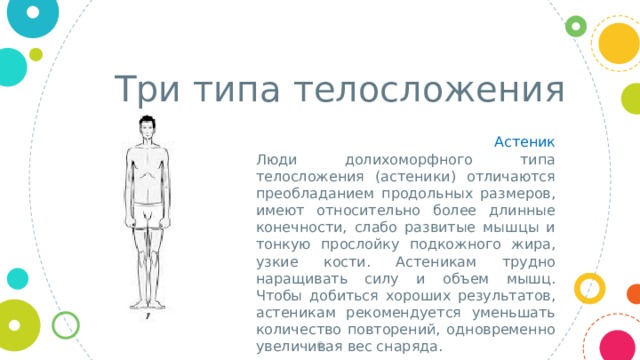 Три типа телосложения Астеник Люди долихоморфного типа телосложения (астеники) отличаются преобладанием продольных размеров, имеют относительно более длинные конечности, слабо развитые мышцы и тонкую прослойку подкожного жира, узкие кости. Астеникам трудно наращивать силу и объем мышц. Чтобы добиться хороших результатов, астеникам рекомендуется уменьшать количество повторений, одновременно увеличивая вес снаряда.  