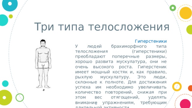 Три типа телосложения Гиперстеники У людей брахиморфного типа телосложения (гиперстеники) преобладают поперечные размеры, хорошо развита мускулатура, они не очень высокого роста.  Гиперстеник имеет мощный костяк и, как правило, рыхлую мускулатуру. Это люди, склонные к полноте. Для достижения успеха им необходимо увеличивать количество повторений, снижая при этом вес отягощений, уделять внимание упражнениям, требующим длительной активности.    