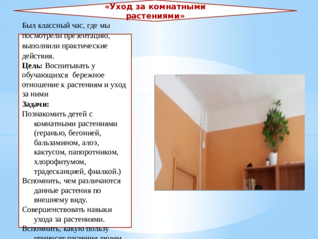 «Уход за комнатными растениями» Был классный час, где мы посмотрели презентацию, выполнили практические действия. Цель:  Воспитывать у обучающихся бережное отношение к растениям и уход за ними Задачи: Познакомить детей с комнатными растениями (геранью, бегонией, бальзамином, алоэ, кактусом, папоротником, хлорофитумом, традесканцией, фиалкой.) Вспомнить, чем различаются данные растения по внешнему виду. Совершенствовать навыки ухода за растениями. Вспомнить, какую пользу приносят растения людям. 