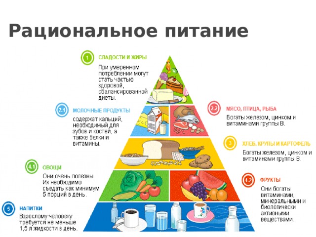 Рациональное питание 