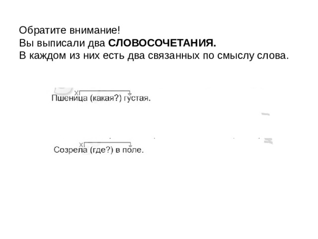 Обратите внимание! Вы выписали два СЛОВОСОЧЕТАНИЯ. В каждом из них есть два связанных по смыслу слова. 