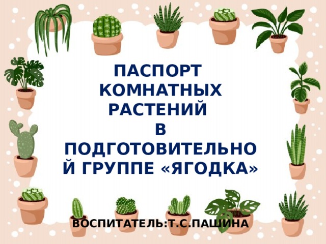 ПАСПОРТ КОМНАТНЫХ РАСТЕНИЙ В ПОДГОТОВИТЕЛЬНОЙ ГРУППЕ «ЯГОДКА»   ВОСПИТАТЕЛЬ:Т.С.ПАШИНА 