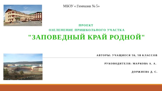 МБОУ « Гимназия № 5» Проект Озеленение пришкольного участка 