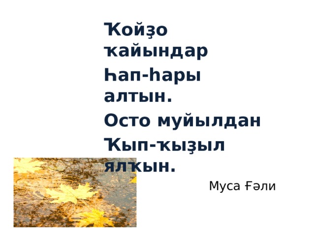 Ҡойҙо ҡайындар Һап-һары алтын. Осто муйылдан Ҡып-ҡыҙыл ялҡын. Муса Ғәли 