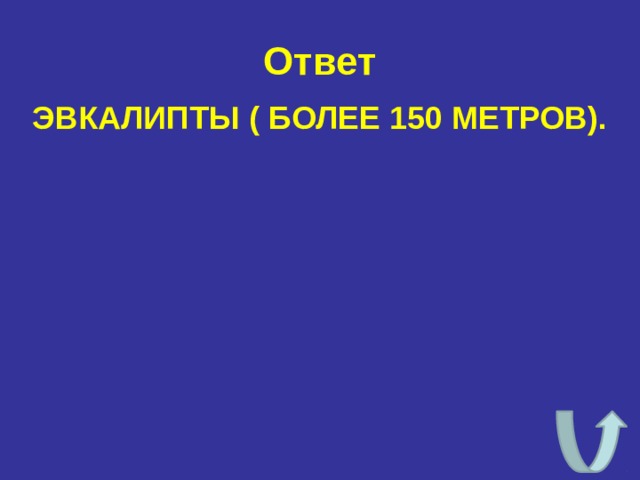 Ответ ЭВКАЛИПТЫ ( БОЛЕЕ 150 МЕТРОВ). 