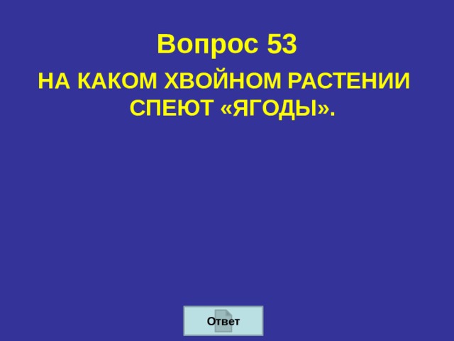 Вопрос 53 НА КАКОМ ХВОЙНОМ РАСТЕНИИ СПЕЮТ «ЯГОДЫ». Ответ 
