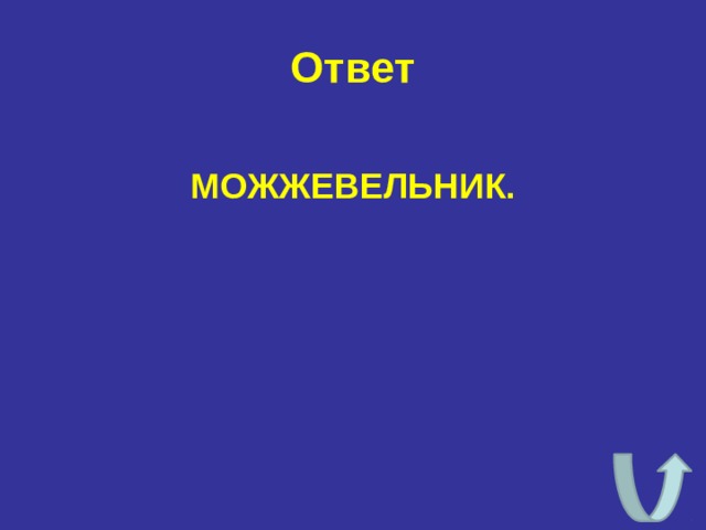 Ответ МОЖЖЕВЕЛЬНИК. 