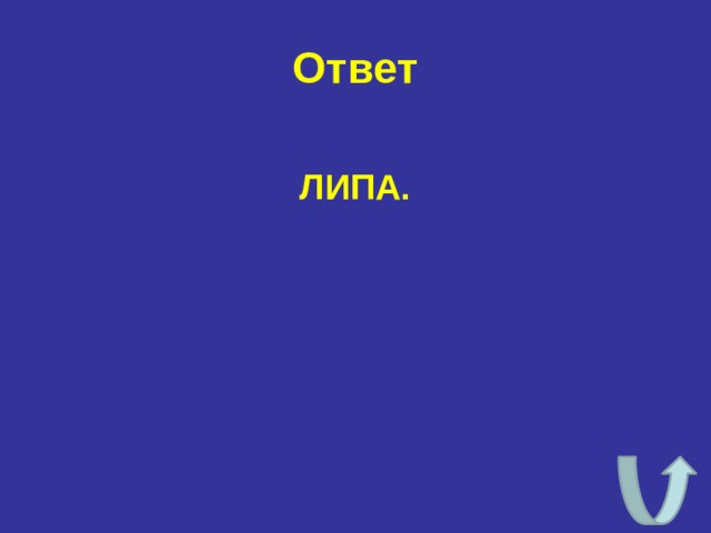 Ответ ЛИПА. 