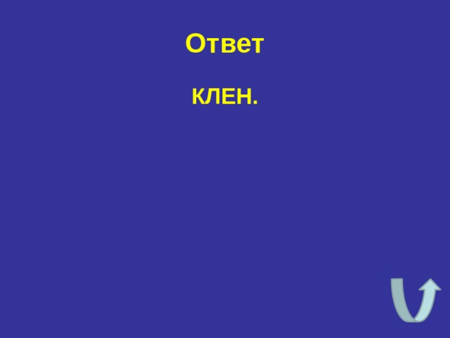 Ответ КЛЕН. 
