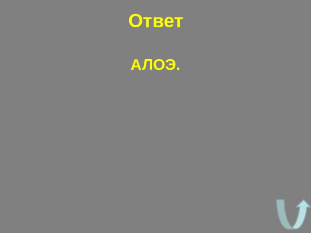 Ответ  АЛОЭ. 