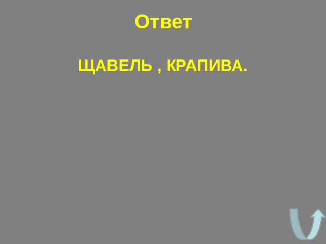 Ответ ЩАВЕЛЬ , КРАПИВА. 