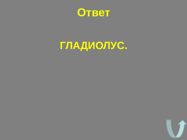 Ответ ГЛАДИОЛУС. 