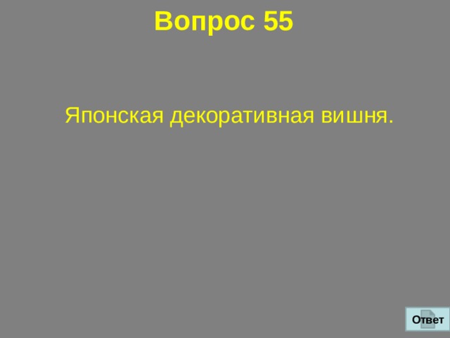 Вопрос 55 Японская декоративная вишня. Ответ 