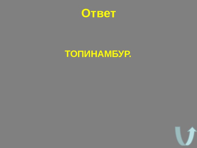 Ответ  ТОПИНАМБУР. 