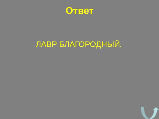 Ответ ЛАВР БЛАГОРОДНЫЙ. 