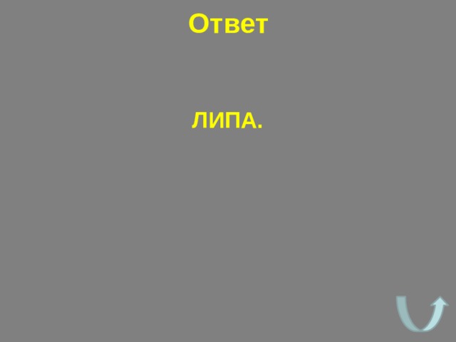 Ответ ЛИПА. 