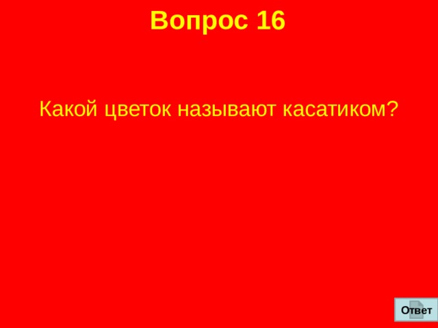 Вопрос 16 Какой цветок называют касатиком? Ответ 