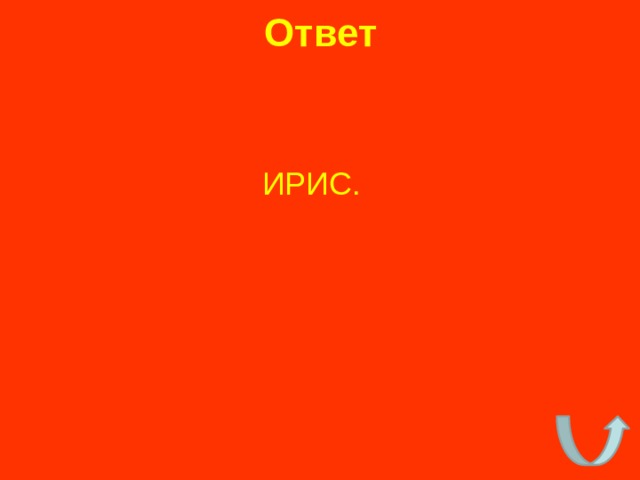Ответ ИРИС. 