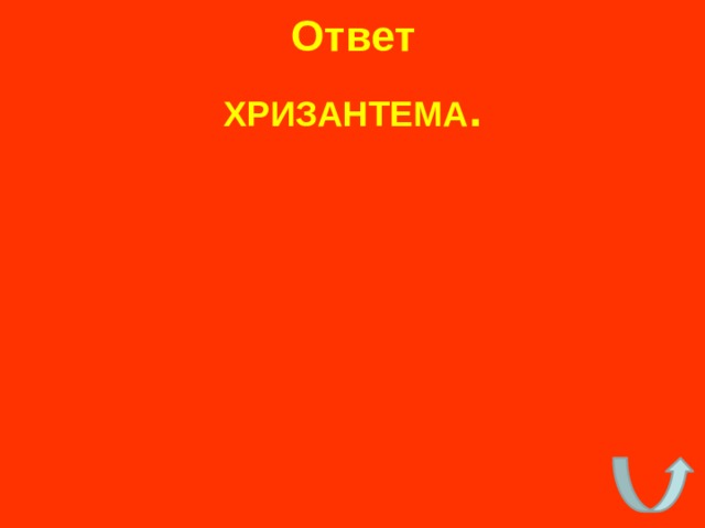Ответ ХРИЗАНТЕМА . 