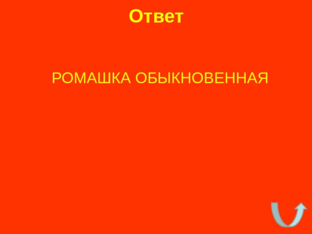 Ответ   РОМАШКА ОБЫКНОВЕННАЯ 