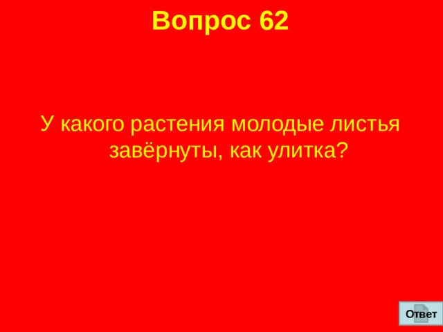 Вопрос 62 У какого растения молодые листья завёрнуты, как улитка? Ответ 