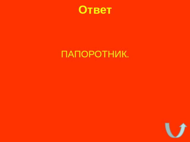 Ответ ПАПОРОТНИК. 