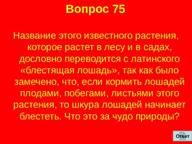 Вопрос 75 Название этого известного растения, которое растет в лесу и в садах,  дословно переводится с латинского «блестящая лошадь», так как было  замечено, что, если кормить лошадей плодами, побегами, листьями этого  растения, то шкура лошадей начинает блестеть. Что это за чудо природы? Ответ 