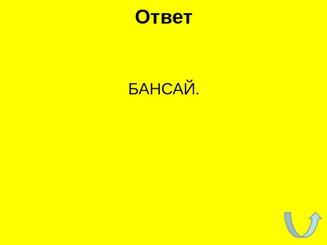 Ответ БАНСАЙ. 
