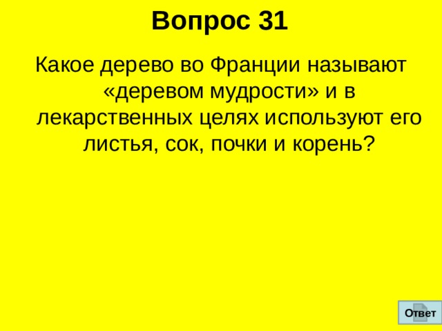 Вопрос 31 Какое дерево во Франции называют «деревом мудрости» и в  лекарственных целях используют его листья, сок, почки и корень? Ответ 