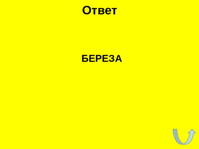 Ответ  БЕРЕЗА 