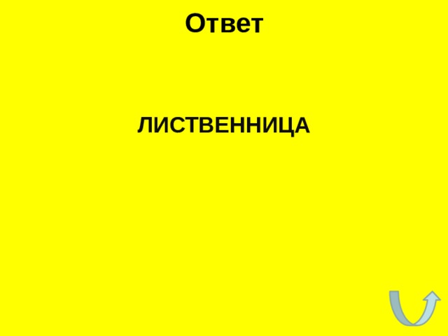 Ответ ЛИСТВЕННИЦА 