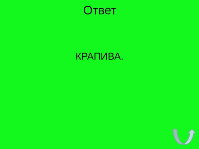 Ответ КРАПИВА. 
