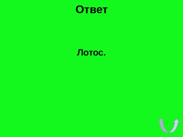 Ответ Лотос. 