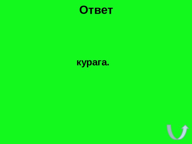 Ответ    курага. 