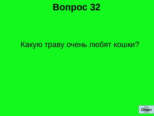 Вопрос 32  Какую траву очень любят кошки?  Ответ 