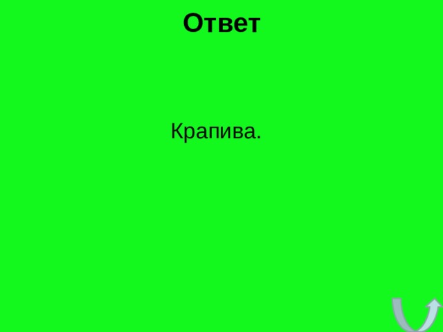 Ответ Крапива. 