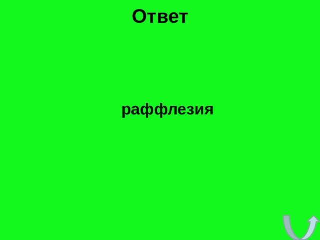 Ответ   раффлезия 