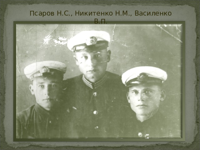 Псаров Н.С., Никитенко Н.М., Василенко В.П. 