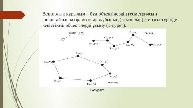 Векторлық құрылым – бұл объектілердің геометриясын сипаттайтын координаттар жұбының (векторлар) жинағы түрінде кеңістіктік объектілерді ұсыну (1-сурет). 1-сурет 