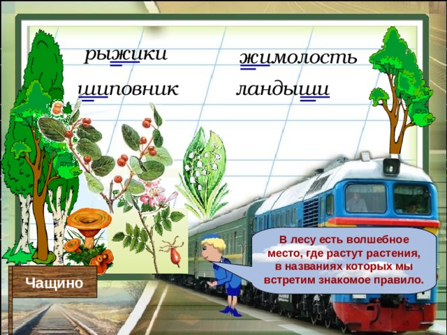 рыжики жимолость ландыши шиповник В лесу есть волшебное место, где растут растения, в названиях которых мы встретим знакомое правило.  Чащино 