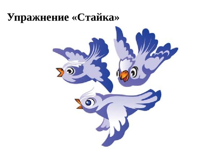 Упражнение «Стайка» 