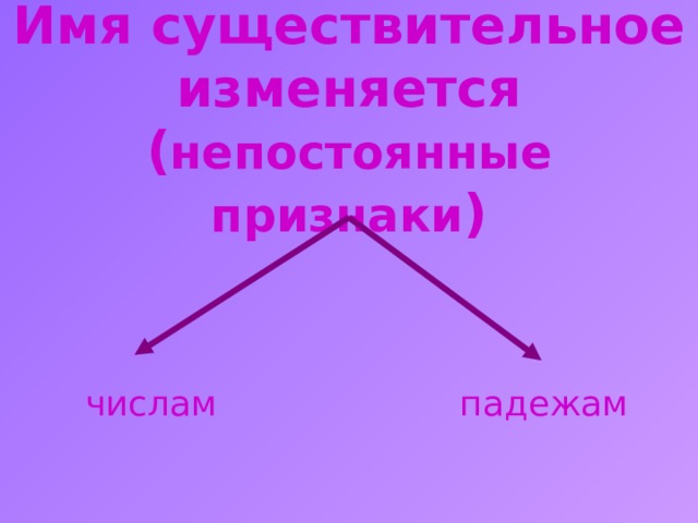 Имя существительное изменяется  ( непостоянные признаки ) числам падежам 