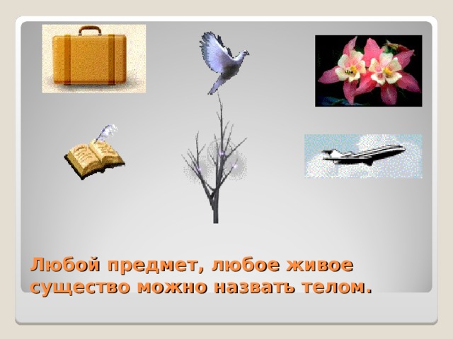 Любой предмет, любое живое существо можно назвать телом. 
