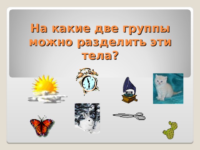На какие две группы можно разделить эти тела ? 