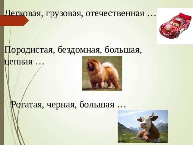 Легковая, грузовая, отечественная … Породистая, бездомная, большая, цепная … Рогатая, черная, большая … 