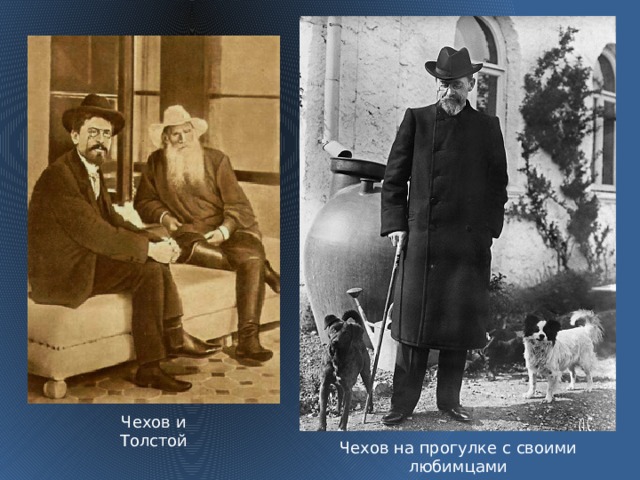 Чехов и Толстой Чехов на прогулке с своими любимцами  