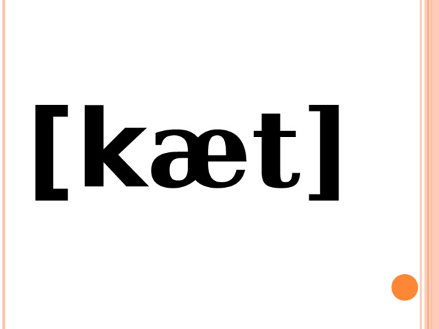 [k æt] 