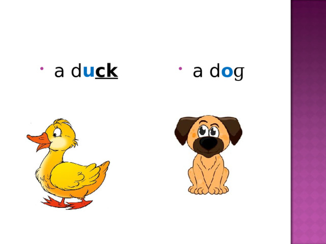  a d u ck   a d o ɡ  
